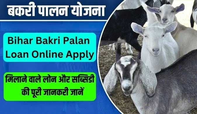 Bakri Palan Loan Online Apply: Get Easy Loans and Up to 60% Subsidy for Goat Farming
